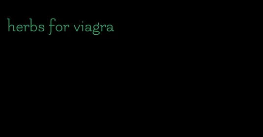 herbs for viagra