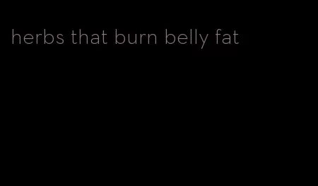 herbs that burn belly fat