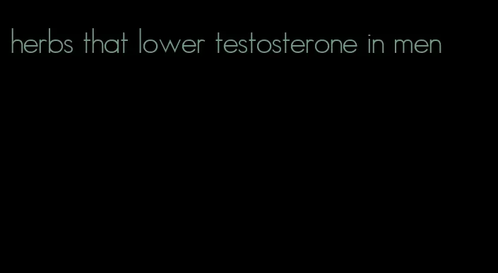 herbs that lower testosterone in men