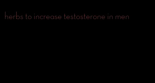 herbs to increase testosterone in men