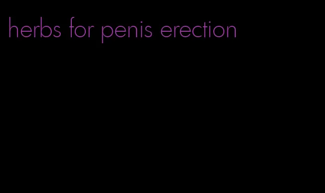 herbs for penis erection