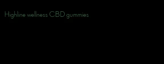 Highline wellness CBD gummies