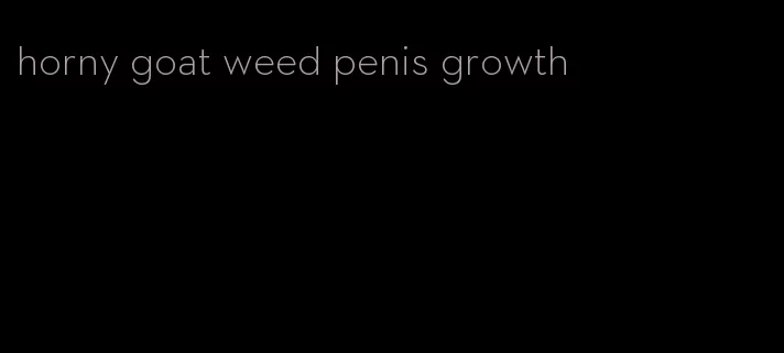 horny goat weed penis growth