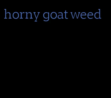 horny goat weed