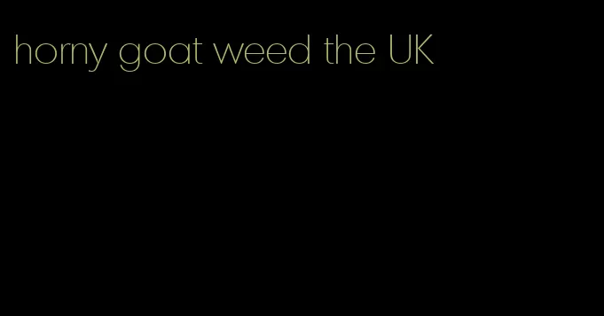 horny goat weed the UK