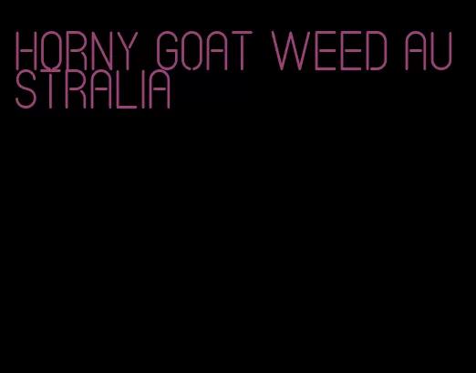 horny goat weed Australia