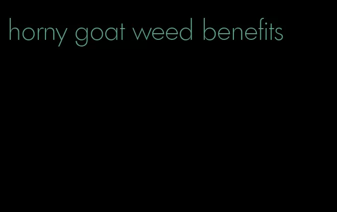 horny goat weed benefits