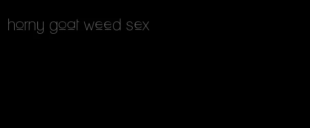 horny goat weed sex