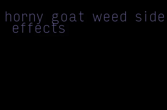 horny goat weed side effects