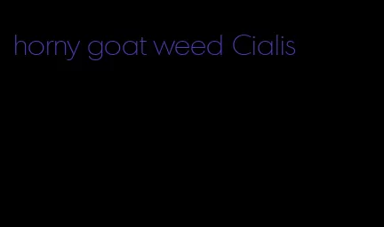 horny goat weed Cialis