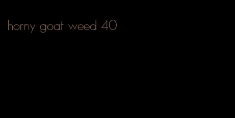 horny goat weed 40