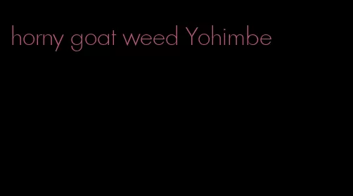 horny goat weed Yohimbe