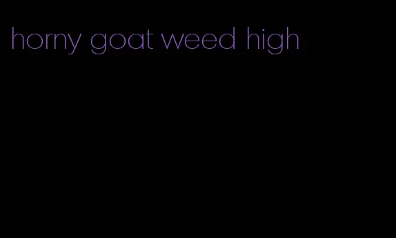 horny goat weed high