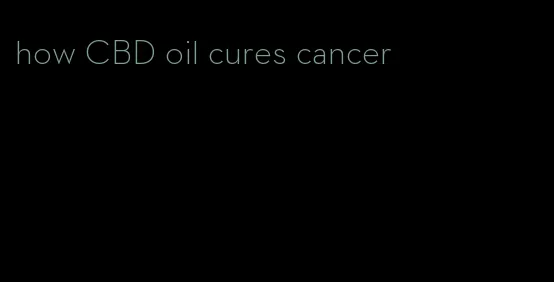 how CBD oil cures cancer