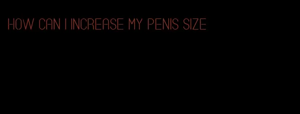 how can I increase my penis size