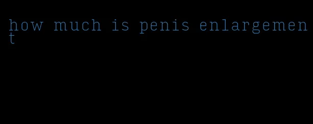 how much is penis enlargement