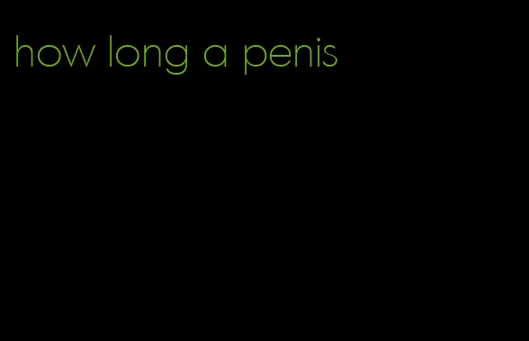 how long a penis