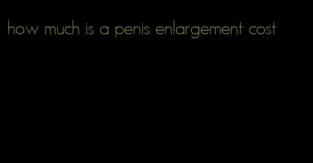 how much is a penis enlargement cost