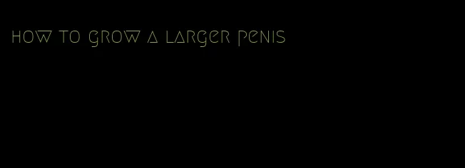 how to grow a larger penis