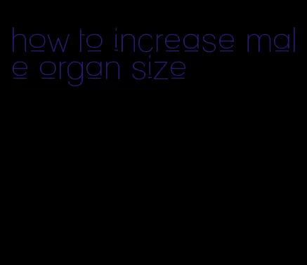 how to increase male organ size