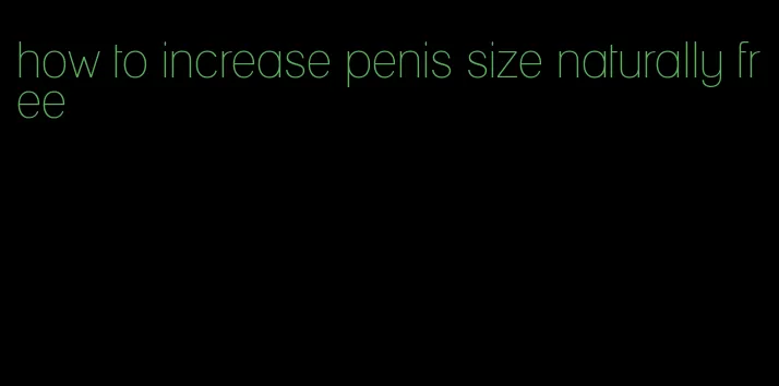 how to increase penis size naturally free