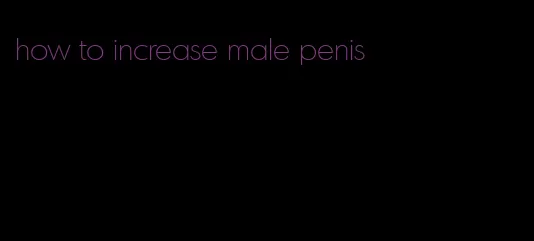 how to increase male penis