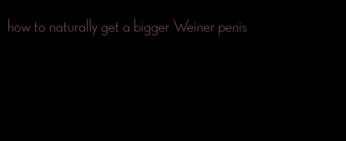 how to naturally get a bigger Weiner penis