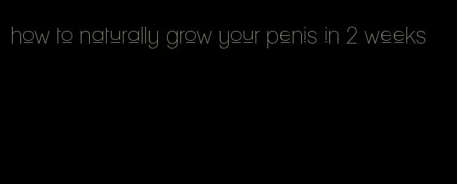 how to naturally grow your penis in 2 weeks