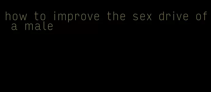 how to improve the sex drive of a male