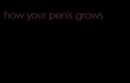 how your penis grows