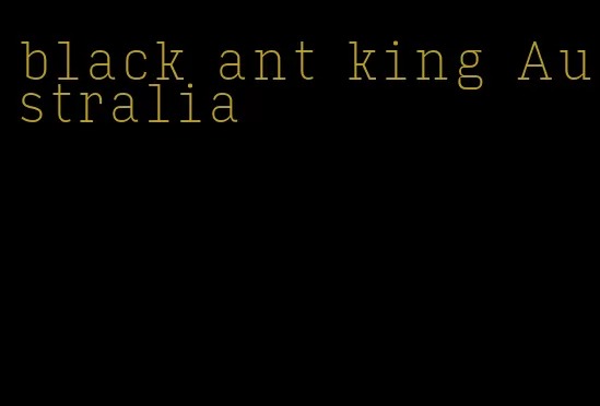 black ant king Australia