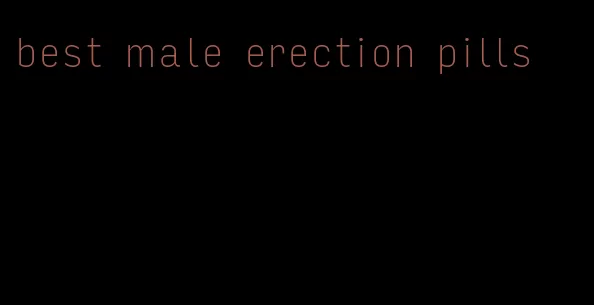 best male erection pills