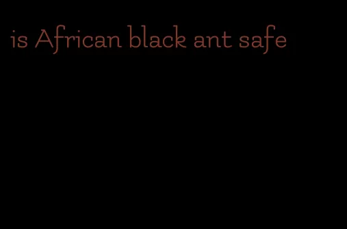 is African black ant safe