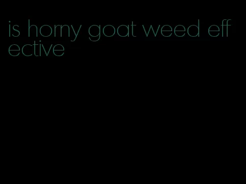 is horny goat weed effective