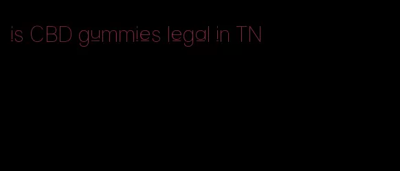 is CBD gummies legal in TN