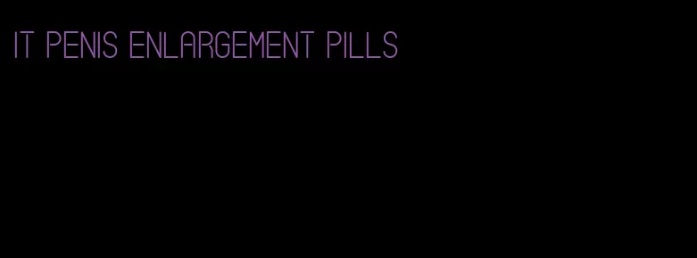 it penis enlargement pills