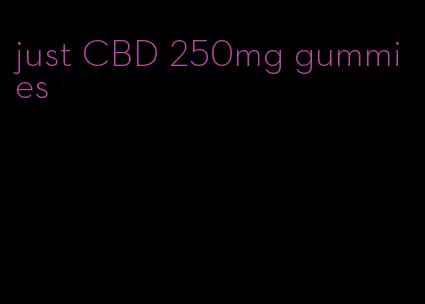 just CBD 250mg gummies