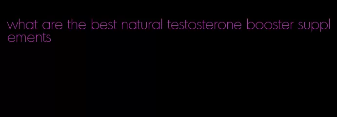 what are the best natural testosterone booster supplements