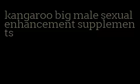 kangaroo big male sexual enhancement supplements