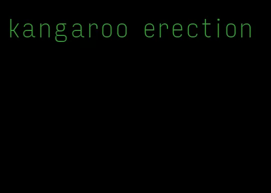 kangaroo erection