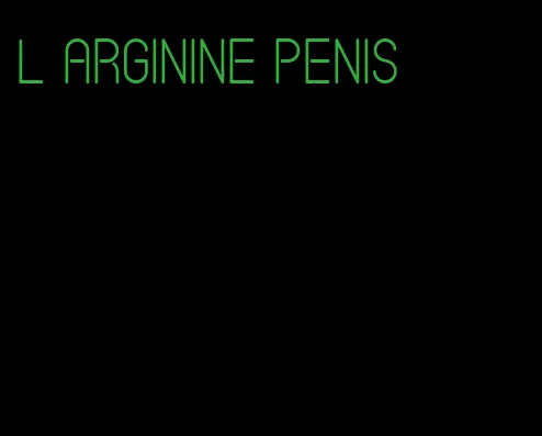 l arginine penis