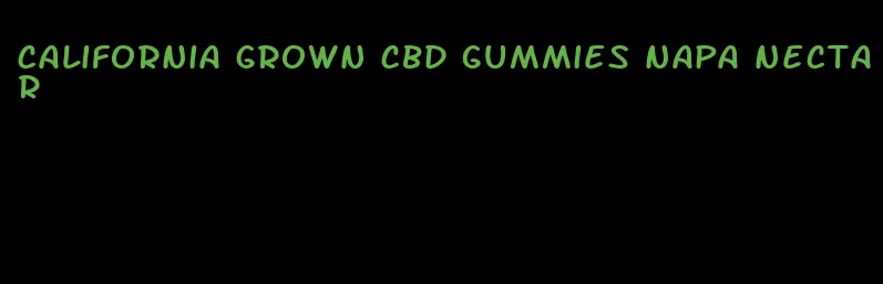 California Grown CBD gummies napa nectar