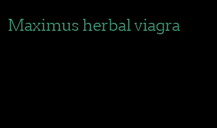 Maximus herbal viagra