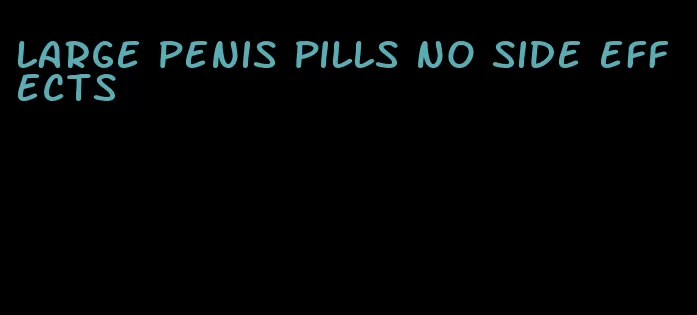 large penis pills no side effects