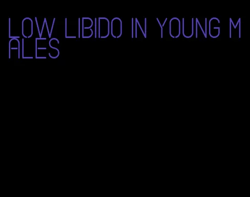 low libido in young males