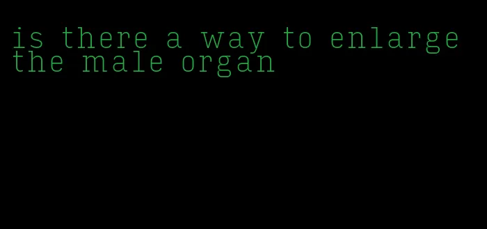 is there a way to enlarge the male organ