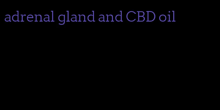 adrenal gland and CBD oil