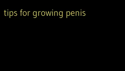 tips for growing penis