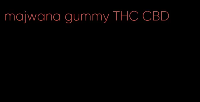 majwana gummy THC CBD