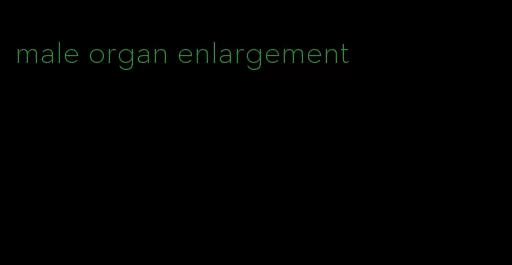 male organ enlargement